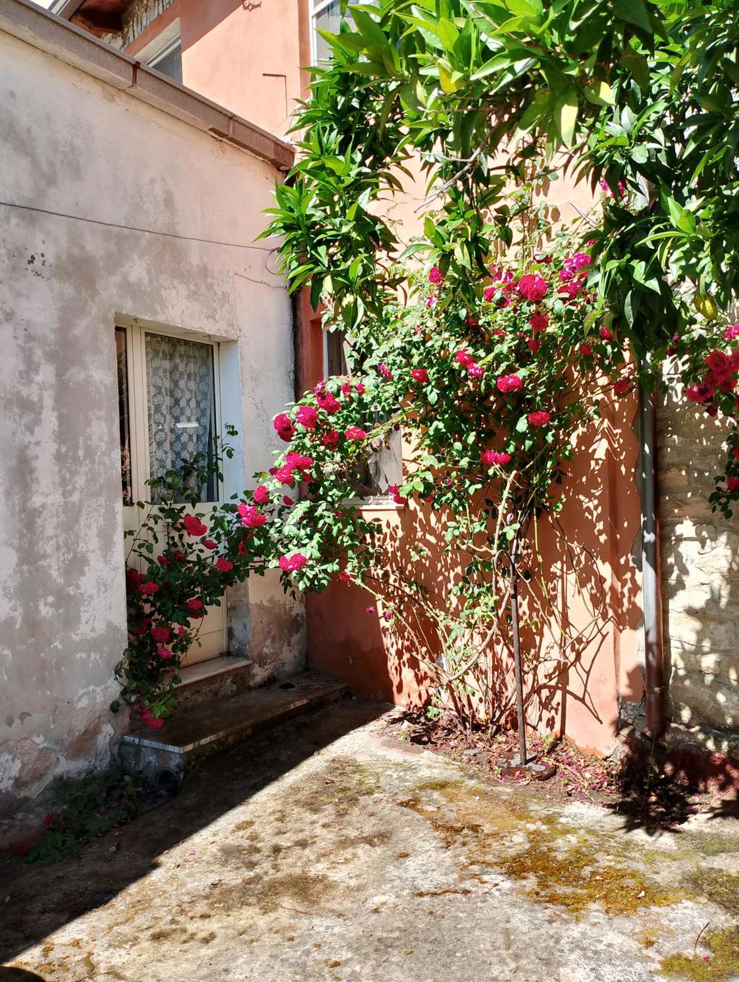 La Corte Degli Aranci Senorbi Exterior photo